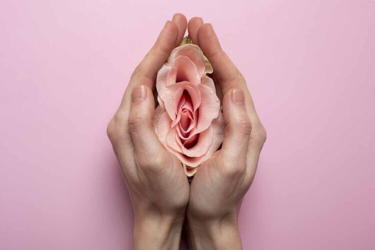 L'exploration intime par la stiumulation vaginale avec des sextoys